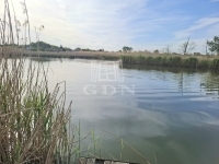 Taksony Családi ház