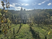 Homokkomárom Nyaraló